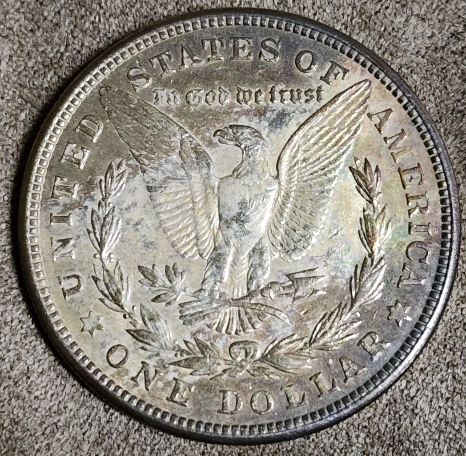 Just-Bought-Some-Morgans-Peace-Dollars-Any-Concerns-Re:counterfeit?
